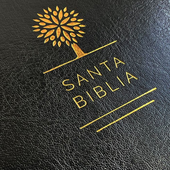 Biblia Reina Valera 1960 letra grande. Símil piel color negro, tamaño manual / Spanish Holy Bible RVR 1960. Handy Size, Large Print, Black Leathersoft