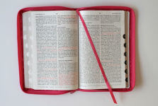 Alternative view 3 of Biblia Reina Valera 1960 letra grande. Símil piel fucsia, cremallera, índice, manual / Spanish Bible RVR 1960. Handy Size, Large Print, Leathersoft