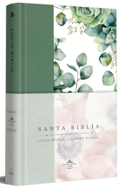 Biblia RVR 1960 Letra Grande Tapa Dura Y Tela Verde Con Flores Tamaño ...