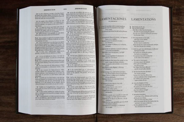 Biblia Bilingüe Reina Valera 1960/ ESV Spanish/English Parallel Bible (English a nd Spanish Edition): Brown Hardcover