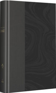 Title: RVR 1960 Biblia de estudio Dake, tamaño grande, Tapa dura, Negra / Spanish RVR 1960 Dake Study Bible, Large Size, Black Hardcover, Author: Reina Valera Revisada 1960