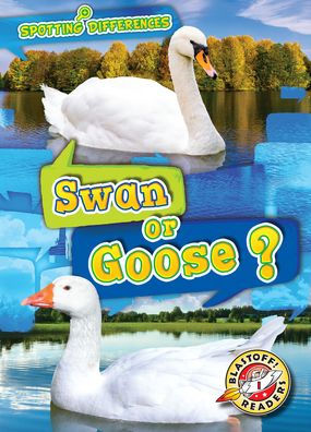 Swan or Goose?