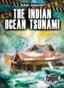 The Indian Ocean Tsunami