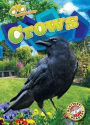 Crows