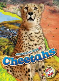 Title: Cheetahs, Author: Rachel Grack