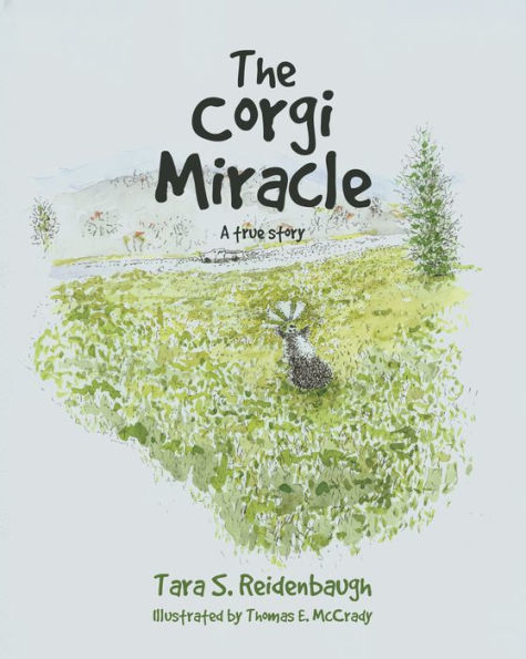 The Corgi Miracle: A true story