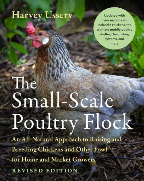 Getting started with chickens on the Homestead or Hobby Farm - Homesteading  and Hungry