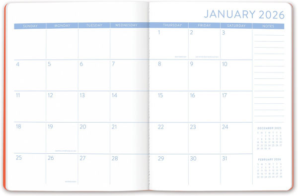 2025-2026 Blossoming Berries Just Right Monthly Planner 17m Exclusive