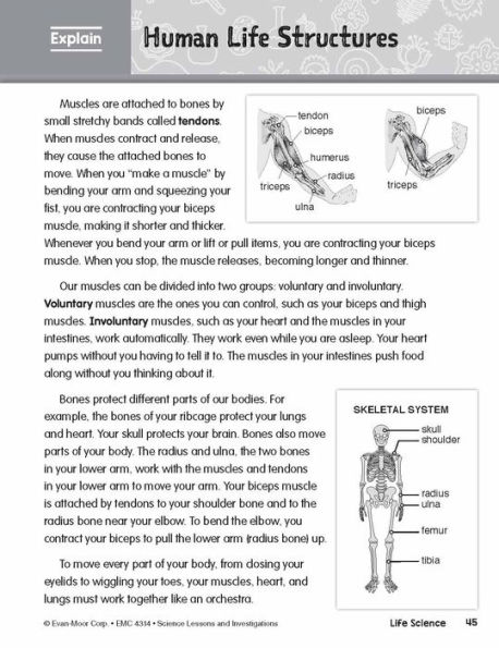 Science Lessons and Investigations, Grade 4 Teacher Resource