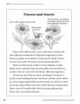 Alternative view 6 of Text-Based Writing, Grade 3 Teacher Resource
