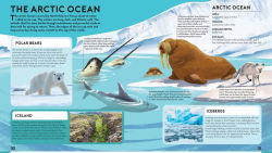 Alternative view 2 of Big Builds: Oceans