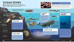Alternative view 3 of Big Builds: Oceans