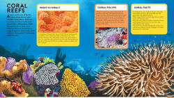 Alternative view 4 of Big Builds: Oceans