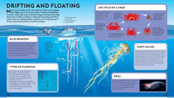 Alternative view 5 of Big Builds: Oceans