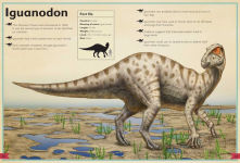 Alternative view 3 of The Magnificent Book of Dinosaurs