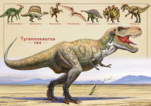 Alternative view 4 of The Magnificent Book of Dinosaurs