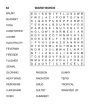 Alternative view 3 of Large Print Floral Word Search