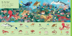 Alternative view 2 of 101 Sea Creatures to Find