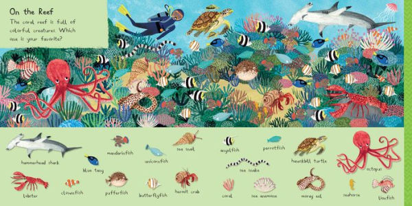 101 Sea Creatures to Find