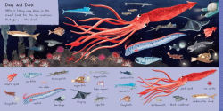 Alternative view 3 of 101 Sea Creatures to Find