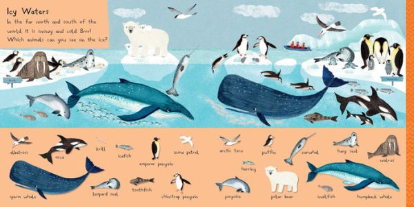 101 Sea Creatures to Find
