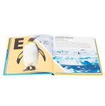 Alternative view 5 of A to Z of Ocean Life