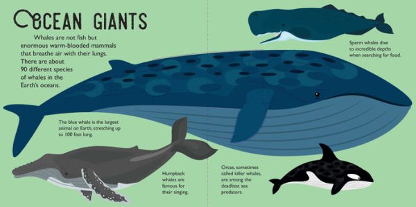 Panoramic Pop-Ups: Ocean