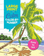 Large Print Calm Color-by-Number