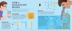 Alternative view 2 of Your World Through a Microscope