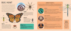 Alternative view 4 of Your World Through a Microscope