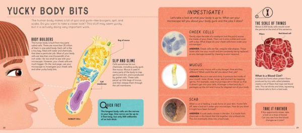 Your World Through a Microscope