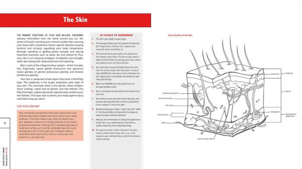 Color Yourself Smart: Human Anatomy