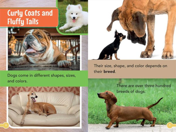 Smithsonian Kids All-Star Readers: All About Dogs Level 1 (Library Binding)