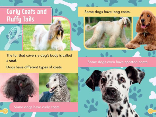 Smithsonian Kids All-Star Readers: All About Dogs Level 1 (Library Binding)