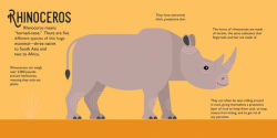 Alternative view 2 of Panoramic Pop-Ups: Wild Animals