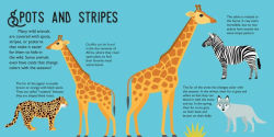 Alternative view 3 of Panoramic Pop-Ups: Wild Animals