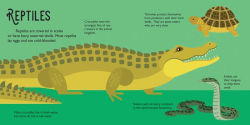 Alternative view 4 of Panoramic Pop-Ups: Wild Animals