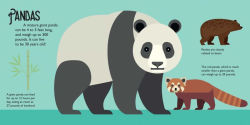 Alternative view 5 of Panoramic Pop-Ups: Wild Animals