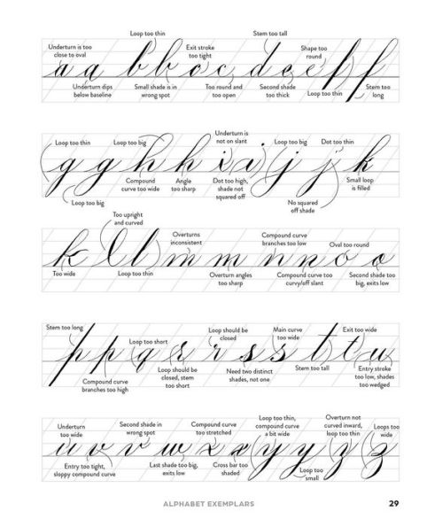 Copperplate Calligraphy Practice Book: Step-by-Step Exercises to Master Letterforms, Strokes, and More Pointed Pen Techniques for Polished Script