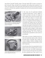 Alternative view 7 of The Metal Detecting Bible, 2nd Edition: Even More Helpful Tips, Expert Tricks, and Insider Secrets for Finding Hidden Treasures (Fully Updated with the Newest Detecting Technology)