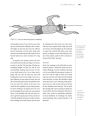 Alternative view 12 of The Triathlete's Training Bible: The World's Most Comprehensive Training Guide, 5th Edition