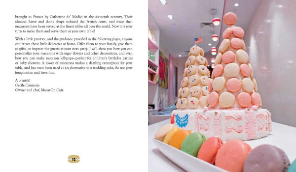 Macarons: Authentic French Cookie Recipes from the Macaron Café