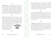 Alternative view 7 of Strange and Surprising Ireland: The People, the Land, the Odd & the Extraordinary (Irish History, Facts, and Trivia)