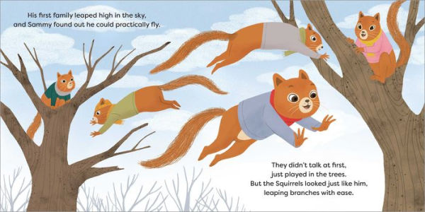 The Story of My Open Adoption: A Storybook for Children Adopted at Birth