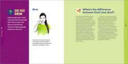 Alternative view 3 of We Can Sign!: An Essential Illustrated Guide to American Sign Language for Kids