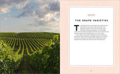 Alternative view 7 of Wine Taster's Guide: Drink and Learn with 30 Wine Tastings