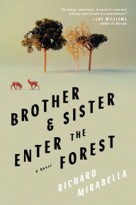 Title: Brother & Sister Enter the Forest: A Novel, Author: Richard Mirabella