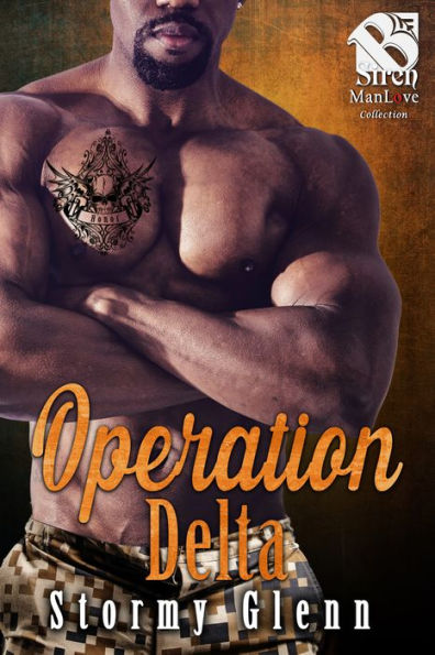 Operation Delta [Geek Squad 3] (The Stormy Glenn ManLove Collection)