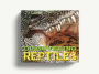 Alternative view 6 of Discovering Reptiles: The Ultimate Handbook to the Reptiles of the World!