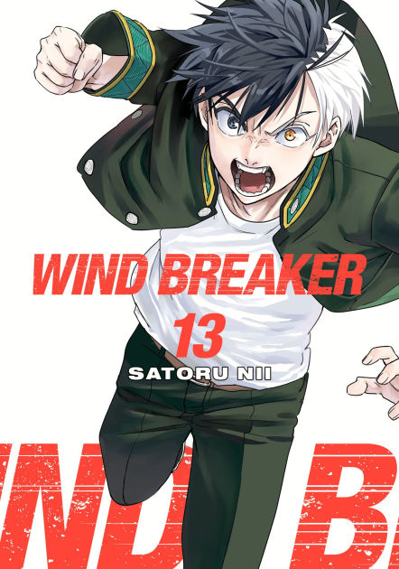 WIND BREAKER 13冊 特典付き 9781646519606_p0_v1_s1200x630.jpg